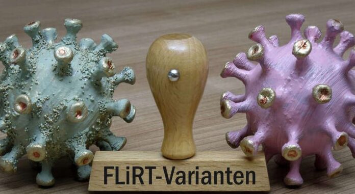 FLiRT Corona