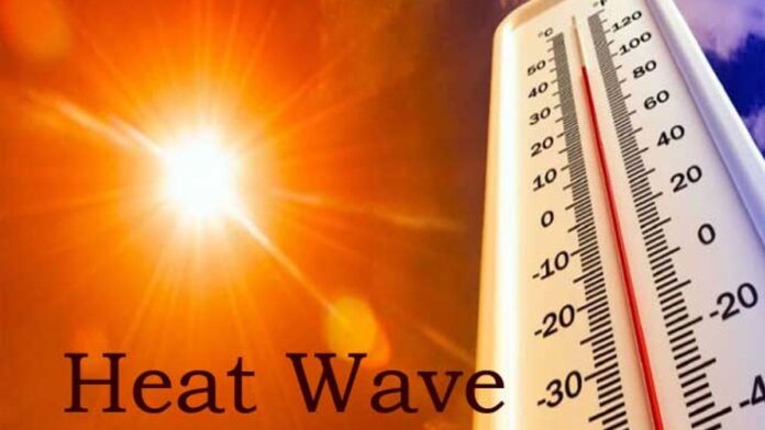 Heat wave: भीषण गर्मी के बीच छात्रों के खुशखबरी, दिल्ली सरकार ने किया छुट्टियों का ऐलान