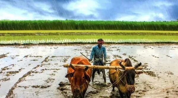 Gujarat Monsoon