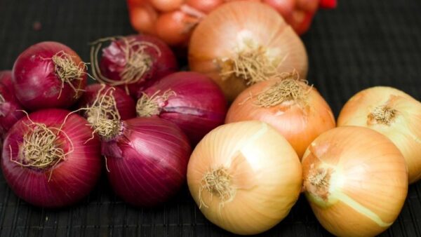 Onion Price Hike: ડુંગળી જનતાને ફરી રડાવી રહી છે, બટાટાના ભાવ પણ ચાલ્યા તેની પાછળ-પાછળ
