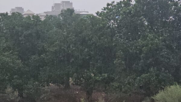 GUJARAT RAIN UPDATE