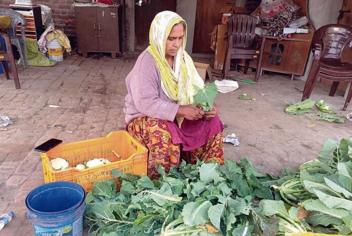 Vegetable Price : फिर बिगड़ा रसोई का बजट, झुलसती गर्मी ने सब्जियों का बढ़ाया पारा