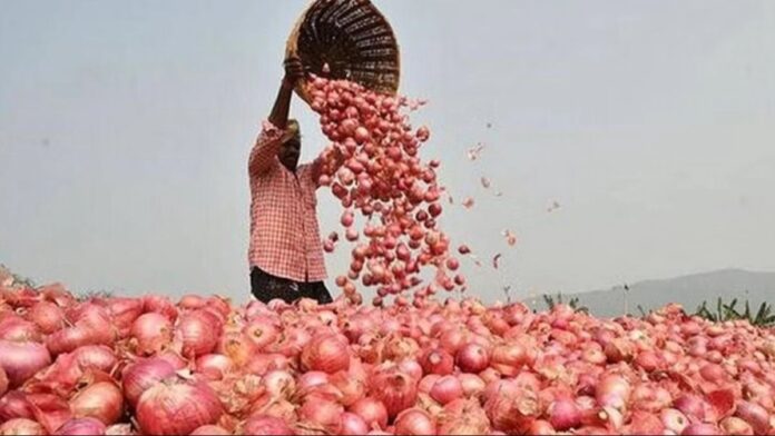 Onion Price Hike: ડુંગળી જનતાને ફરી રડાવી રહી છે, બટાટાના ભાવ પણ ચાલ્યા તેની પાછળ-પાછળ