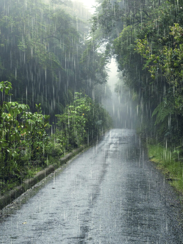 ૨૦૨૪ : ચોમાસું Monsoon Update