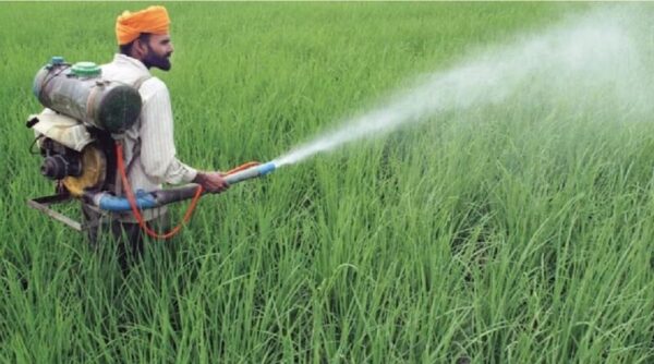 Artificial Fertilizer: पंजाब में कृत्रिम उर्वरक आपूर्तिकर्ताओं के खिलाफ बड़ी कार्रवाई, 2 कंपनियों के लाइसेंस रद्द