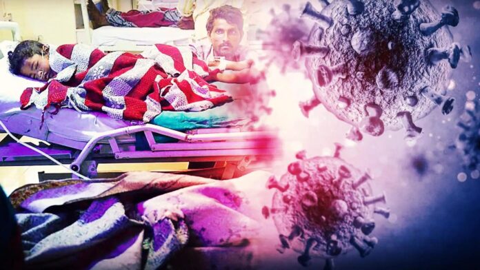 Chandipura Virus: ગુજરાતમાં વધુ 5 બાળકોના મોત, મૃત્યુઆંક 21 પર પહોંચ્યો