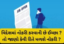 Job offer abroad : વિદેશમાં નોકરી કરવાની છે ઈચ્છા ? તો જાણો કેવી રીતે મળશે નોકરી ? Job offer abroad