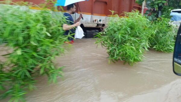 Vadodara Flood: કોના પાપે વડોદરા ડૂબ્યું? પાણી ઉતરતા જ નરક જેવી સ્થિતિનું નિર્માણ; કમાટીબાગમાં 24 પ્રાણીઓના મોત