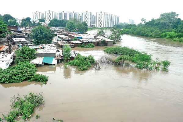 Vadodara Flood: કોના પાપે વડોદરા ડૂબ્યું? પાણી ઉતરતા જ નરક જેવી સ્થિતિનું નિર્માણ; કમાટીબાગમાં 24 પ્રાણીઓના મોત