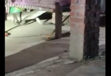 રાત્રે સૂતો હતો પરિવાર, અચાનક આવ્યો અજીબ અવાજ, લાઈટ ચાલુ કરીને જોયું તો ઉડી ગયા હોશ Crocodile: રાત્રે સૂતો હતો પરિવાર, અચાનક આવ્યો અજીબ અવાજ