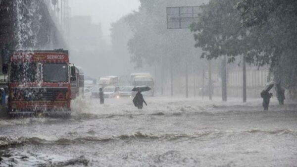 Gujarat Rain: ગુજરાત પર મોટી આફત! સાંબેલાધાર વરસાદની આગાહી, 24 કલાકમાં 244 તાલુકામાં મેઘતાંડવ