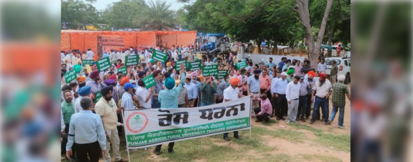 Screenshot 2024 09 13 at 17 41 04 PAU teachers stage protest on Day 1 of Kisan Mela The Tribune