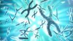 Y Chromosomes: ચોંકાવનારો દાવો... છોકરીઓ નહીં પણ છોકરાઓનું અસ્તિત્વ જોખમમાં
