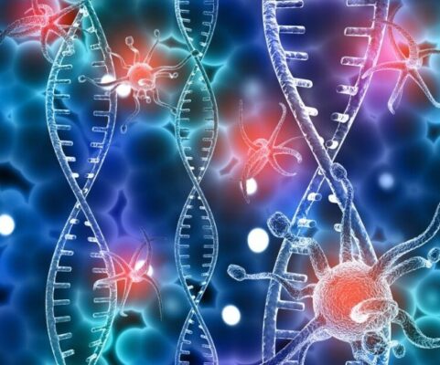 Y Chromosomes: ચોંકાવનારો દાવો... છોકરીઓ નહીં પણ છોકરાઓનું અસ્તિત્વ જોખમમાં