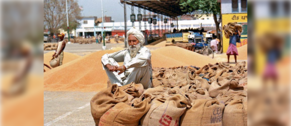 Screenshot 2024 10 21 at 15 08 07 Centre wants to do away with procurement in Punjab Sanyukt Kisan Morcha leader The Tribune