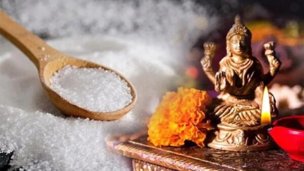 Dhanteras 2024 : ધનતેરસના આ વસ્તુ ખરીદવાનું ના ભૂલતા 