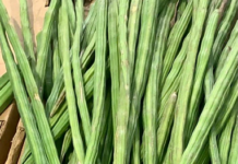 Drumstick Vegetable Bad Effect