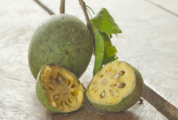 Apple Wood Bael ઉનાળામાં મળતું લાકડા જેવું આ ફળ કેટલું ગુણકારી છે અનેક બીમારીને