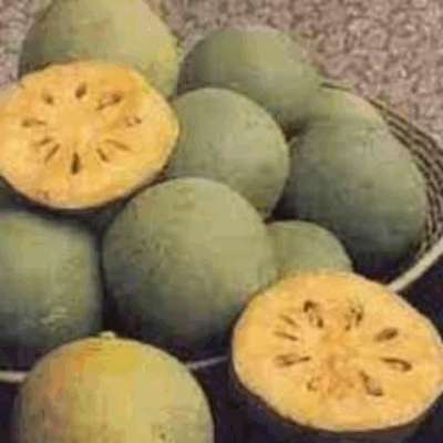 Screenshot 2025 04 18 at 18 03 55 bael fruit benefits for stomach Google Search