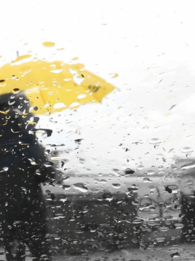 rain