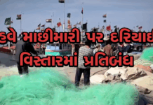 નારાયણ સરોવર, જખૌ અને લખપતના હવે માછીમારી પર દરિયાઈ વિસ્તારમાં પ્રતિબંધ #OperationSindoor2 #IndiaPakistanWar #OperationSindhoor