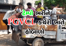 અમરેલીમાં PGVCL કચેરી ખાતે હોબાળો #pgvclamreli #summer #electricity #amreli #pgvcl