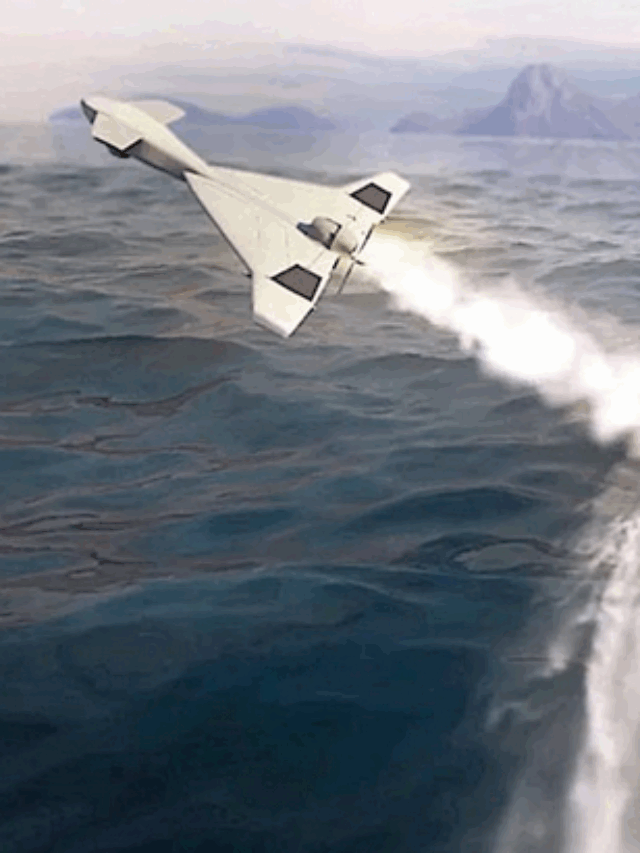 Screenshot 2025-05-08 at 17-22-15 israle harpor drone - Google Search