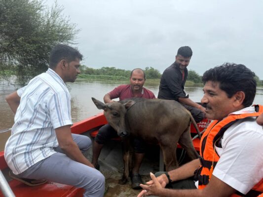 નવસારી: મરોલી ગામમાં પશુપાલક અને ભેંસનું બચ્ચું પાણીમાં ફસાયા #navsari #rain #maroligam #farmer