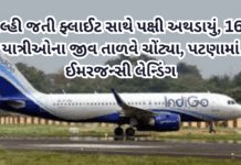 Delhi:  જતી ફ્લાઈટ સાથે પક્ષી અથડાયું, 169 યાત્રીઓના જીવ તાળવે ચોંટ્યા, પટણામાં ઈમરજન્સી લેન્ડિંગ#PatnaFlightEmergency #IndiGoFlight #BirdHitIncident