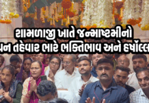 શામળાજી ખાતે જન્માષ્ટમીનો પાવન તહેવાર ભારે ભક્તિભાવ અને હર્ષોલ્લાસ #shamlaji #janmastmi #celebration