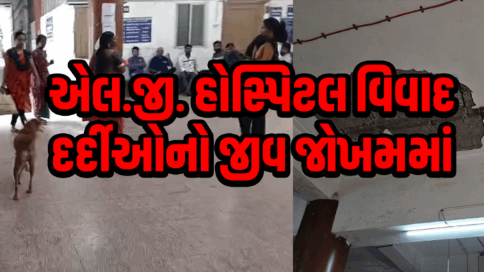 એલ.જી. હોસ્પિટલ વિવાદ,દર્દીઓનો જીવ જોખમમાં,ગંભીર બેદરકારી,ahmedabad,lghospital,amc,
