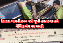 Handloom shirt : દેદાદરા ગામની ૭૦૦ વર્ષ જૂની હસ્તકલા હવે વૈશ્વિક મંચ પર ચમકી#TangaliyaWeaving #HandloomHeritage #Baldevbhai
