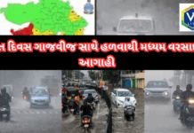 GUJARAT : સાત દિવસ ગાજવીજ સાથે હળવાથી મધ્યમ વરસાદની આગાહી #GujaratRain #WeatherUpdate