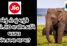 Boycott Jio : એવું તો શું થયું કે લોકો JIOના સીમ કાર્ડને ઘડાઘડ બંધ કરવા લાગ્યા? #BoycottJio #SaveTheElephant