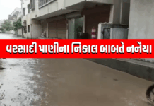 વડોદરા વરસાદી પાણીના નિકાલ બાબતે નનૈયા ઠેઠે #monsoon #water #rain #savali #vadodara