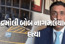 અમેરિકામાં ભારતીય મૂળના ચંદ્રમૌલી બોબ નાગમલૈયાની હત્યા : સાંસદ રો ખન્નાનો રોષ #chandramaulibob #bobnagamalaiya #indian #america