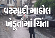 નવસારી જિલ્લામાં વરસાદી માહોલ ખેડૂતોમાં ચિંતા : પવન સાથે વરસેલા વરસાદે રાહત પણ ચિંતા પણ #navsari #monsoonupdate #weatherupdate #rain