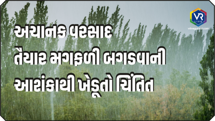 Gujarat Rain