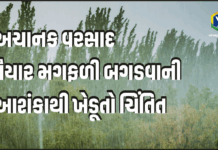 Gujarat Rain અચાનક વરસાદ તૈયાર મગફળી બગડવાની આશંકાથી ખેડૂતો ચિંતિત Gujarat Rain