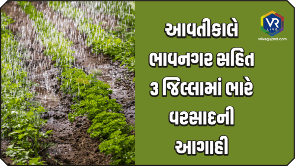 Gujarat Rain
