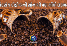 Luxury Coffee કોકરોચ કોફી બની સોનાથી પણ મોંઘી લક્ઝરી ભાવમાં સીધો 50% ઉછાળો Luxury Coffee