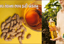 Sing Tel Price Hike ઘરગથ્થુ મહિલાઓ માટે મોટો ઝટકો! સિંગતેલના ભાવમાં 60 રૂપિયાનો વધારો — રસોડાનું બજેટ ફરી ખોરવાયું Sing Tel Price Hike