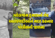 પહેલગામ હુમલાનો ભેદ ઉકેલાયો: આતંકવાદીઓને મદદ કરનાર યુસુફ કટારી પોલીસની જાળમાં #pahelgam #investigation #india