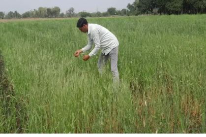 CM Bhupendra Patel Declares Historic: