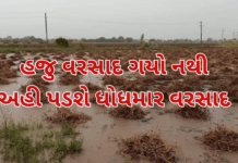 Rain update :10 નવેમ્બર સુધી હજુ પૂર્વ, મધ્ય અને ઉત્તર ગુજરાતમાં વરસાદની શક્યતા; અમદાવાદમાં વાદળછાયું વાતાવરણ #rainupdate, #gujrat, #alert