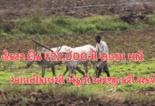 Farmers to Apply from Tomorrow :હેક્ટર દીઠ ₹22,000ની સહાય માટે આવતીકાલથી ખેડૂતો અરજી.#khedut,#gujrat, kishan