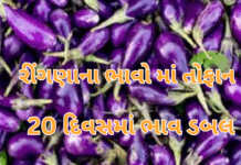 Vegetable Prices:રીંગણાના ભાવો માં તોફાન 70થી સીધા 150 રૂપિયા! માવઠું અને લગ્નસીઝનથી 20 દિવસમાં શાકભાજીના ભાવ ડબલ.#BrinjalPriceHike, #VegetableInflation, #VegRatesDouble, Vegetable