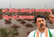 congress khedut sabha : હવે સૌરાષ્ટ્રના ૧૧ જીલ્લાઓને ધમરોળશે કોંગ્રેસ , ખેડૂતોના નામે જશ લેવા પાર્ટીઓના ધમપછાડા #congress , #khedut congress khedut sabha