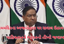 MEA Rebukes Pakistan:રામમંદિરના ધ્વજારોહણ પર સવાલ ઉઠાવનાર પાકિસ્તાનને ભારતનો તીખો જવાબ MEA Rebukes Pakistan