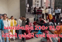 BLOs Protest:અમરાઈવાડીમાં BLOનો બળવો મેપિંગની જટિલ પ્રક્રિયા સામે 200થી વધુ અધિકારીઓ ધરણા પર BLOs Protest